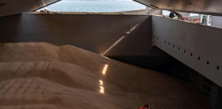 Russia: “Pronti a fornire grano gratis all’Africa”