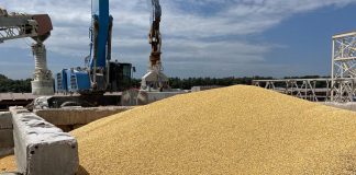 Ucraina: “Accordo con Croazia per export grano”