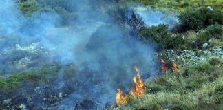 Incendi, notte di paura a Palermo: abitazioni evacuate