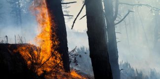 Incendi Calabria, Occhiuto: “80% dolosi, droni contro i piromani” – Video