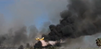 Salento, incendio sul litorale di Ugento: turisti in fuga dalle spiagge – Video