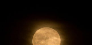 Superluna del Cervo, è la prima del 2023: dove vederla lunedì 3 luglio