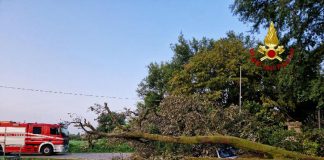 Grandine in Veneto, chicchi come palline da tennis. Zaia: “110 feriti” – Video