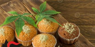 Otto universitari intossicati da torta alla marijuana