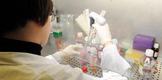 Alzheimer, vaccino allo studio: positivi i test sui topi
