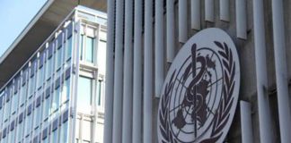 Aviaria, Oms: “Virus preoccupa, altamente pericoloso per l’uomo”