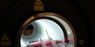 Sostenibilità, AgriPetMri porta tecnologie mediche avanzate in agricoltura