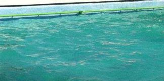 Vicenza, bimbo di 2 anni annega in piscina