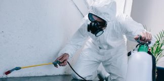 Estate, boom disinfestazioni casa, +74% per cambiamento climatico