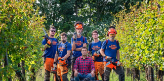 Vino, a scuola di dendrochirurgia in vigna con i vine master pruners Simonit&Sirch