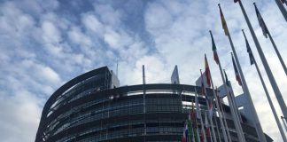 Legge ripristino natura, via libera del Parlamento europeo: cos’è e cosa prevede