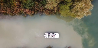 Mille piante acquatiche alla foce dell’Osone per migliorare la qualità delle acque del Mincio