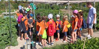 San Giorgio Bigarello, concluso il cred estivo. Si prosegue con i laboratori fino al 31 agosto