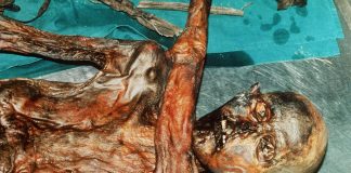 Otzi aveva pelle scura e pochi capelli, il nuovo identikit della mummia