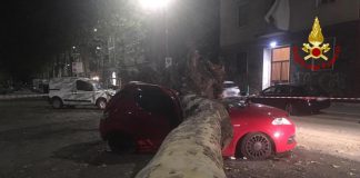 Nubifragio oggi a Milano, alberi caduti e tetti pericolanti