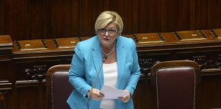 Reddito di cittadinanza, Calderone: “506 milioni percepiti indebitamente”