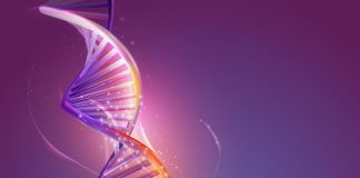 Tumori, ecco come le radiazioni danneggiano Dna, studio università Trento