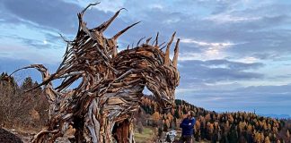 Distrutto dalle fiamme il Drago di Vaia, ipotesi incendio doloso