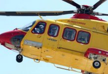 Morso da un maiale in azienda, 53enne in ospedale