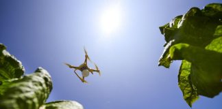 Al via terza edizione Beleaf Be The future, la call for innovation di Pmi
