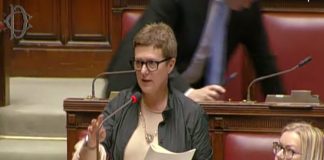 Peste suina, Forattini (Pd): “Dal Governo risposte insufficienti”