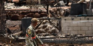 Incendi Hawaii, polemica sulle sirene: si dimette capo emergenze Maui