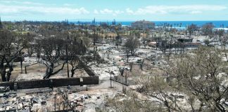 Incendi alle Hawaii, si aggrava bilancio: 89 morti
