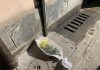 Operai investiti, fiori davanti alla stazione: “Rispetto per vittime lavoro onesto”