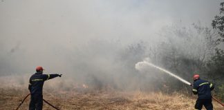 Incendi Grecia, trovati corpi carbonizzati di 18 migranti