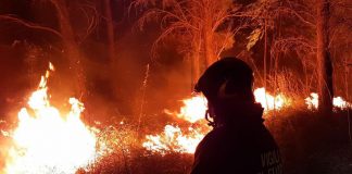 Incendio isola d’Elba, divorati 14 ettari di bosco a San Felo a Rio