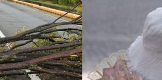 Stop al caldo, oggi solo 8 città bollino rosso. Maltempo al Nord