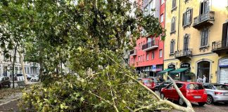 Allarme eco-ansia, lo psichiatra: “Avremo ancora meno nascite, agire ora”