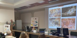 Stimolare le potenzialità del cervello, al Neuromed la ‘4A Summer School’
