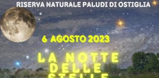 Ostiglia, il 6 agosto “La notte delle stelle” alla Riserva Naturale Paludi