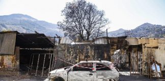 Incendi Palermo, allarme diossina: “Sensibile calo composti chimici”
