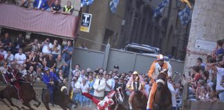 Palio di Siena 2023, animalisti: “Basta, mette in pericolo la vita dei cavalli”