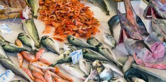 Estate, in 2 settimane 6 mln under 18 al mare, appello del pediatra ‘più pesce nei menu’