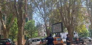 Roma, grosso ramo cade su circonvallazione Clodia: due auto danneggiate