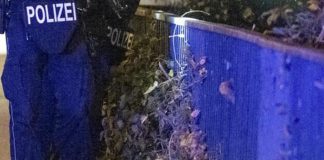 Germania, 16enne accoltella gravemente bambino di 8 anni in scuola Sassonia