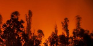 Incendi alle Hawaii, distrutta cittadina su isola Maui: almeno 36 morti
