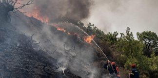 Incendi Grecia, vacanza gratis a Rodi per turisti evacuati: l’annuncio del premier