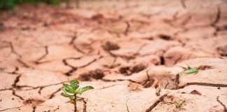 Clima, appello Mattarella e altri 5 capi di Stato: “Non c’è più tempo da perdere”