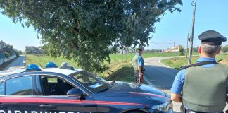Ricercato da tre anni per rapina, 30enne arrestato dai Carabinieri di Gonzaga