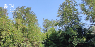 FAI di Mantova, domenica visita guidata al forte Magnaguti di Borgoforte