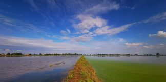 Millenaria, “Risaia” di Stefano Peruzzi è la foto vincitrice del concorso “Giovane Terra 2023”