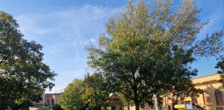 Ritorno a scuola tra tante novità per gli studenti di Suzzara. Sono 2.199 gli iscritti