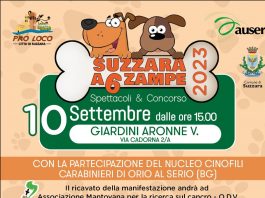A Suzzara una domenica a 6 zampe