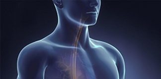 Malattia di Crohn, ok Aifa a rimborso primo inibitore specifico IL-23