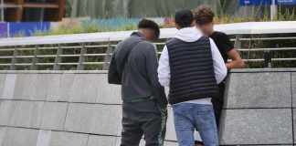 Lunetta, presa a sassate dalla baby gang mentre porta a spasso il cane