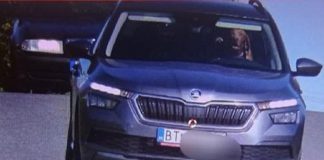 Slovacchia, un cane al volante ‘sorride’ all’autovelox: la foto è virale